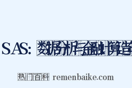 SAS:数据分析与金融计算造句是什么意思的图片